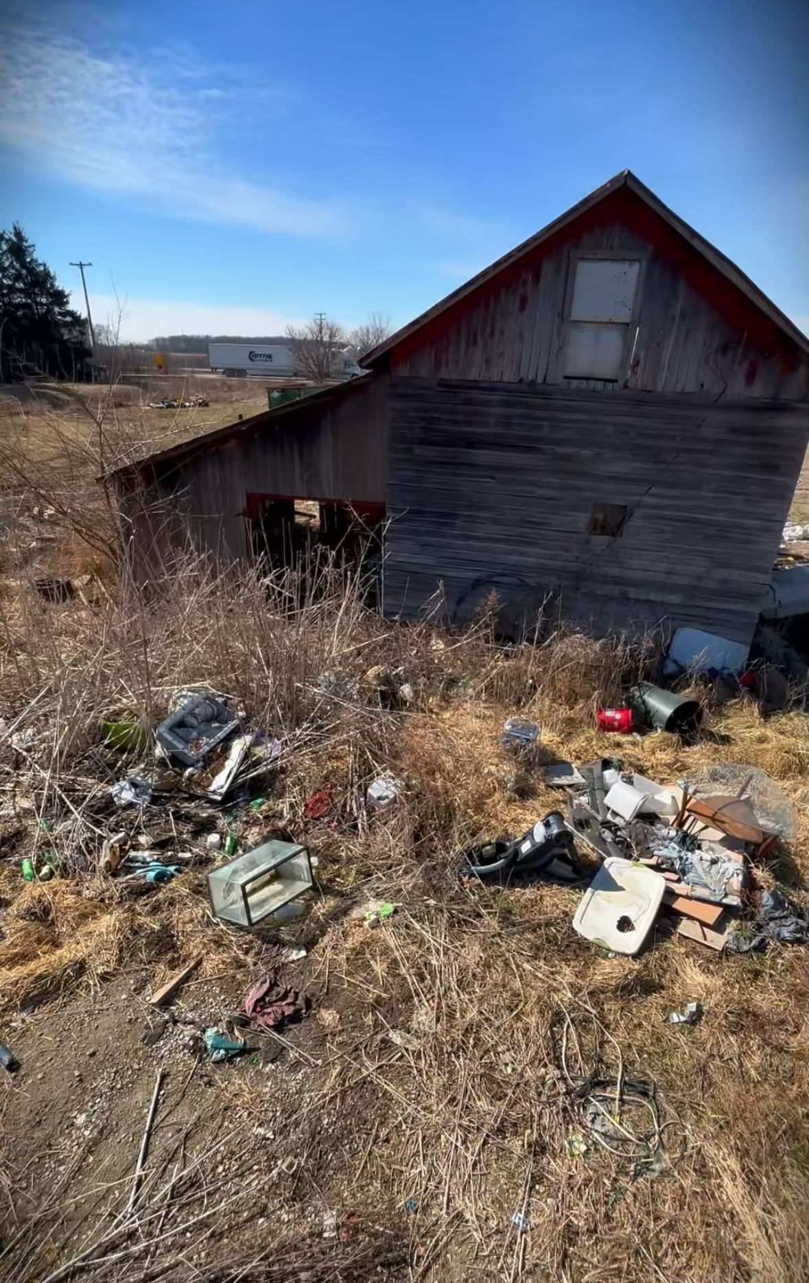 ASAP Junk Removal sheds job photo in Monroe County MI