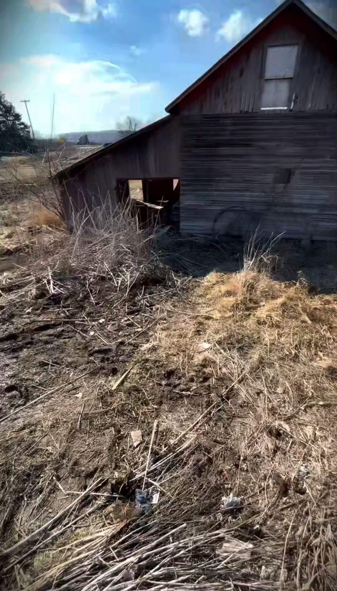 ASAP Junk Removal sheds job photo in Monroe County MI
